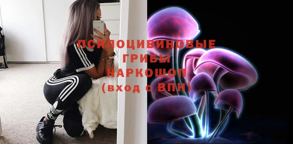 СК Волоколамск