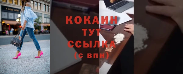 СК Волоколамск