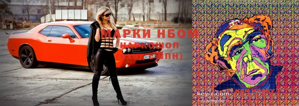 СК Волоколамск