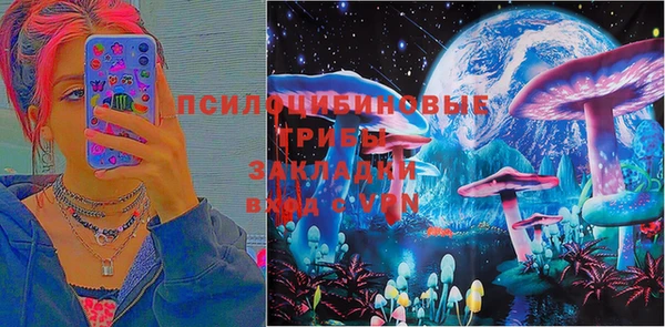 СК Волоколамск