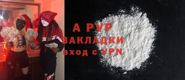 СК Волоколамск