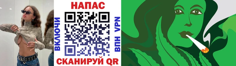 Купить закладки  Челябинск  Каннабис SATIVA & INDICA 